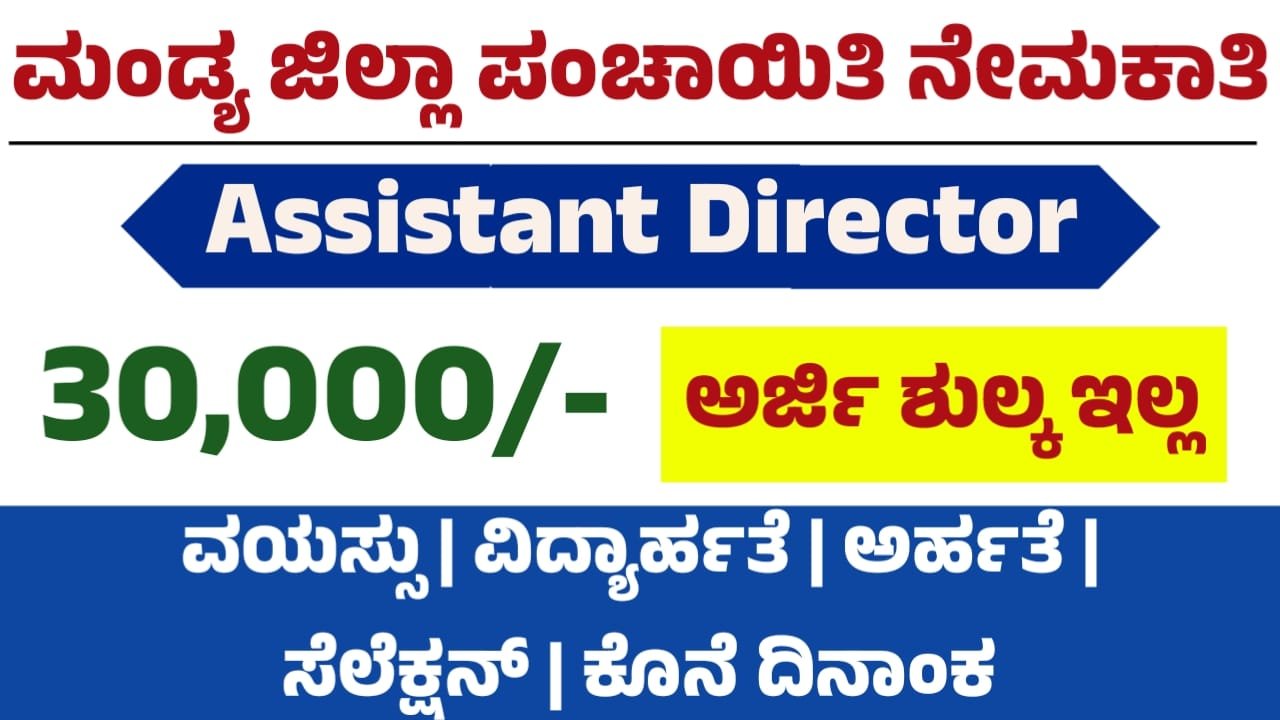 Mandya Zilla Panchayat Recruitment 2025