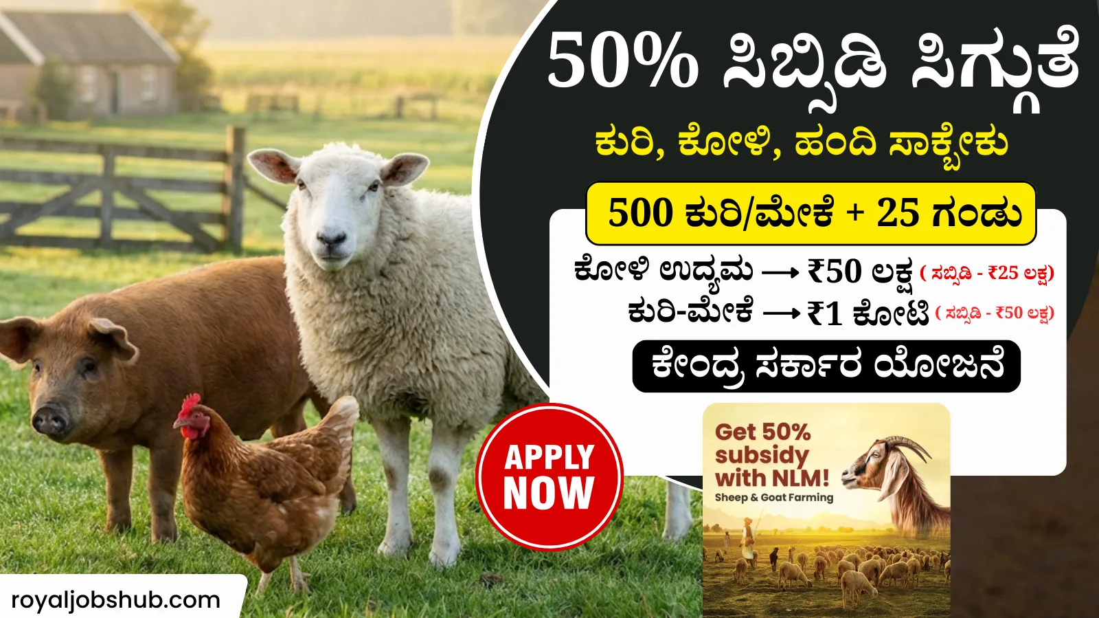 Rural Poultry Farming and Hatchery Unit under National Livestock Mission NLM Scheme Karnataka